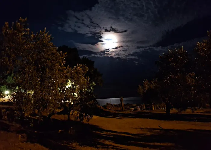 Oliviera * 阿斯特里斯